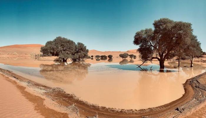 Rain in the desert