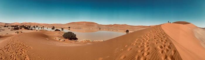 Rain in the Namib desert