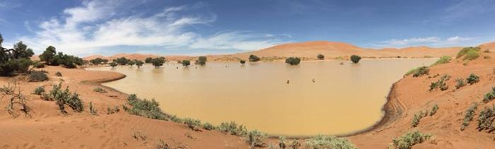 Rain in the Sossuvlei