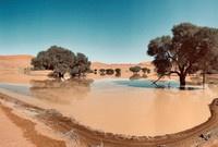 Rain in the desert