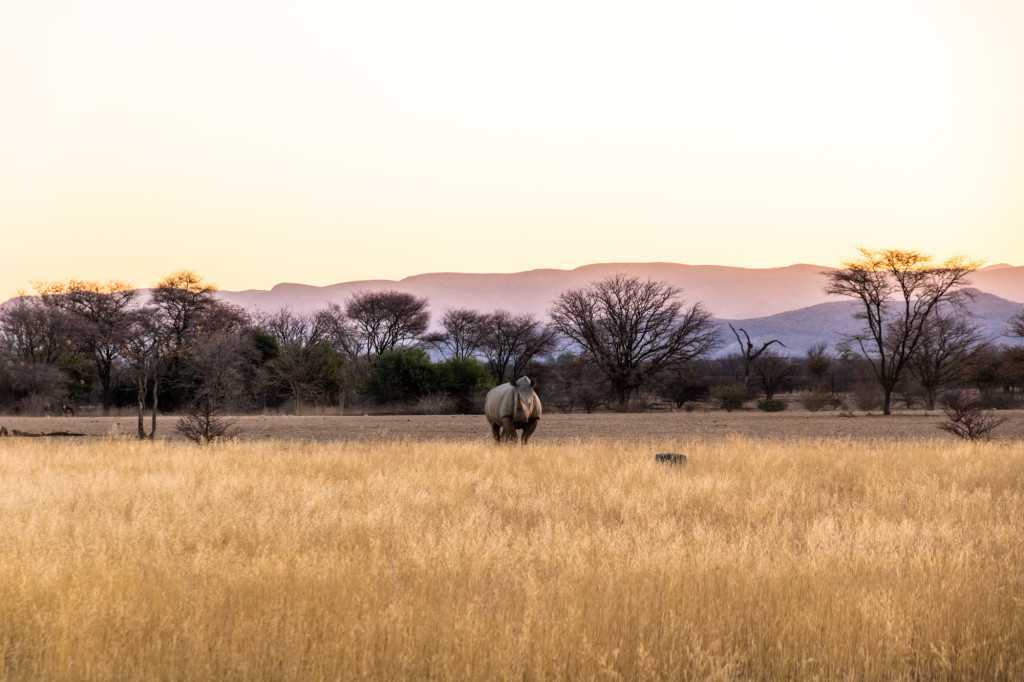 Ugab Game Farm & Lodge