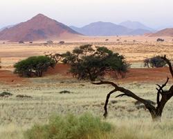 Unique desert landscape in Namibia