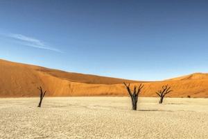 Sossusvlei